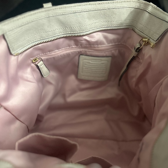 Coach Alexandra Python Straw Tote - Picture 10 of 13